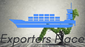 How can I grow my site without relying on Google?