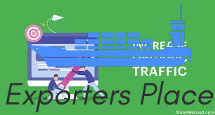 How do I increase organic traffic without SEO expertise?