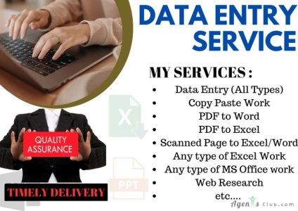 I will provide expert data entry,copy paste,conversion services