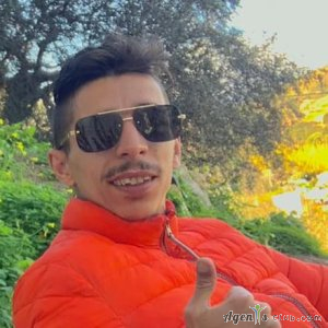 Translator English to Arabic, French to arabic