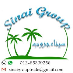 sinai group