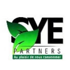 SYE PARTNERS