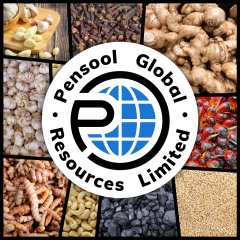 Pensool Global Resources Limited